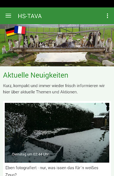 Run android online APK Hundeschule TAVA from MyAndroid or emulate Hundeschule TAVA using MyAndroid