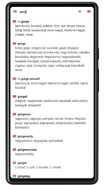 Run android online APK Hungarian Dictionary from MyAndroid or emulate Hungarian Dictionary using MyAndroid Run android online APK Hungarian Dictionary from MyAndroid or emulate Hungarian Dictionary using MyAndroid