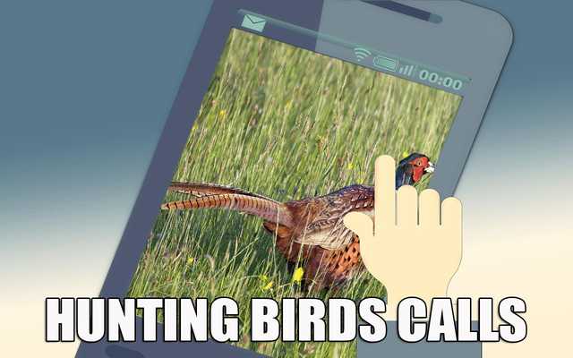 Emulate Android APK Hunting Bird Calls Emulate Android APK Hunting Bird Calls