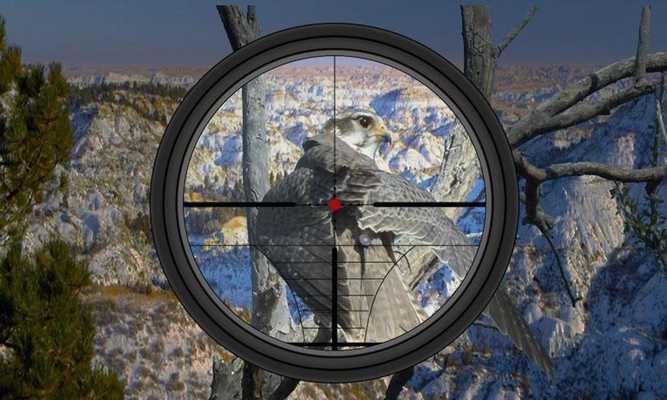 Emulate Android APK Hunting Birds In Desert Emulate Android APK Hunting Birds In Desert