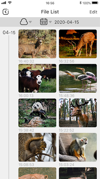 Run android online APK Hunting Cloud from MyAndroid or emulate Hunting Cloud using MyAndroid