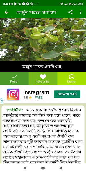 Run android online APK ঔষধি গাছের উপকারিতা- Hurbal from MyAndroid or emulate ঔষধি গাছের উপকারিতা- Hurbal using MyAndroid Run android online APK ঔষধি গাছের উপকারিতা- Hurbal from MyAndroid or emulate ঔষধি গাছের উপকারিতা- Hurbal using MyAndroid