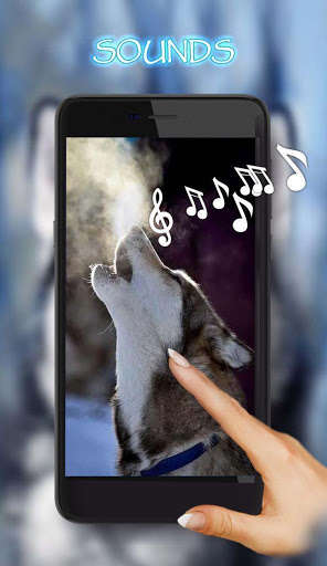 Emulate Android APK Husky Dogs Free live wallpaper Emulate Android APK Husky Dogs Free live wallpaper
