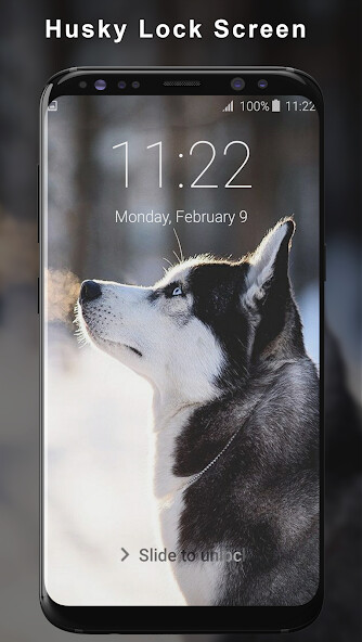 Run android online APK Husky Lock Screen from MyAndroid or emulate Husky Lock Screen using MyAndroid Run android online APK Husky Lock Screen from MyAndroid or emulate Husky Lock Screen using MyAndroid