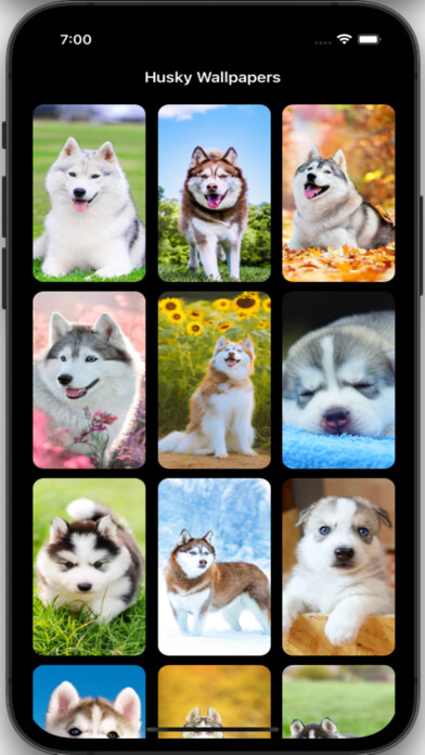 Emulate iPhone app Husky Wallpapers HD Pro using MyAndroid Emulate iPhone app Husky Wallpapers HD Pro using MyAndroid