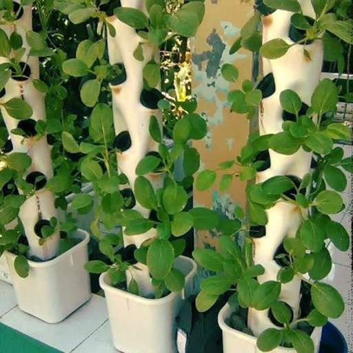 Run android online APK Hydroponic Rack Design from MyAndroid or emulate Hydroponic Rack Design using MyAndroid