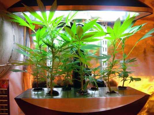 Emulate Android APK Hydroponic System Designs
