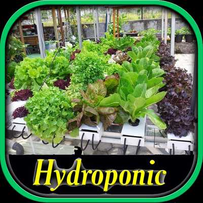 Emulate Android APK Hydroponic Systems Guide Emulate Android APK Hydroponic Systems Guide
