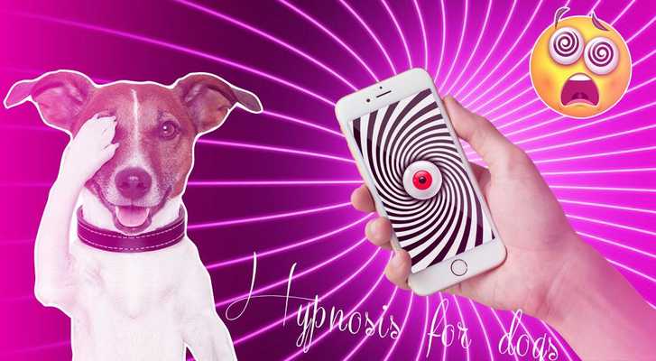 Emulate Android APK Hypnotize For Dogs Emulate Android APK Hypnotize For Dogs
