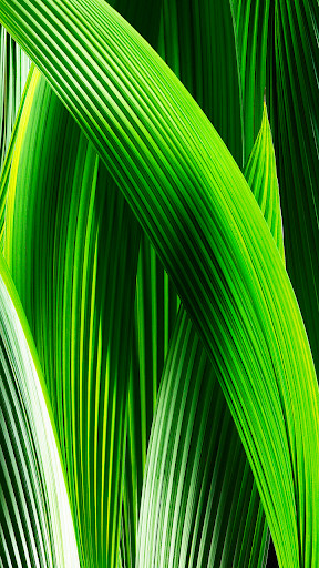 Emulate Android APK i7 wallpapers