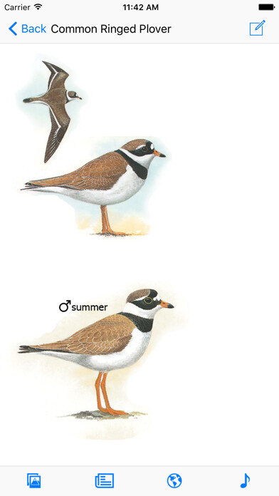 Emulate iPhone app Iberian Peninsula Bird ID using MyAndroid