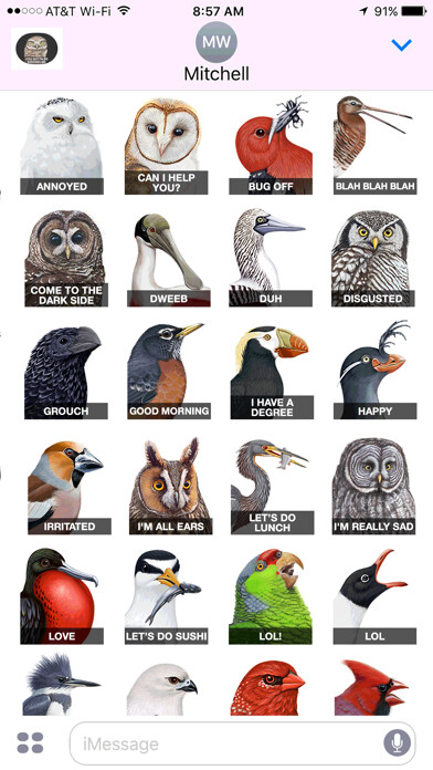 Emulate iPhone app iBird Stickers using MyAndroid Emulate iPhone app iBird Stickers using MyAndroid