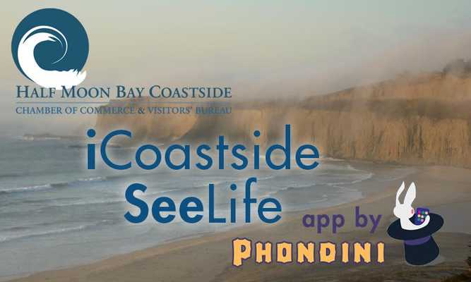 Emulate Android APK iCoastside SeeLife