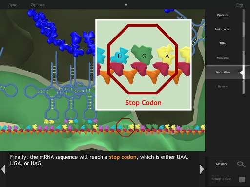 Emulate Android APK IC: Protein Synthesis Emulate Android APK IC: Protein Synthesis