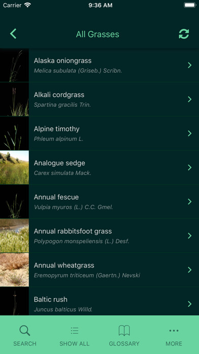 Run android online APK Idaho Grasses from MyAndroid or emulate Idaho Grasses using MyAndroid Run android online APK Idaho Grasses from MyAndroid or emulate Idaho Grasses using MyAndroid
