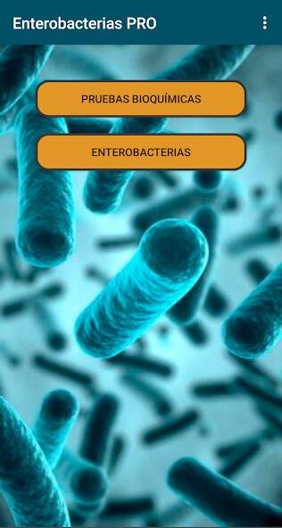 Run android online APK Identificar Enterobacterias from MyAndroid or emulate Identificar Enterobacterias using MyAndroid Run android online APK Identificar Enterobacterias from MyAndroid or emulate Identificar Enterobacterias using MyAndroid