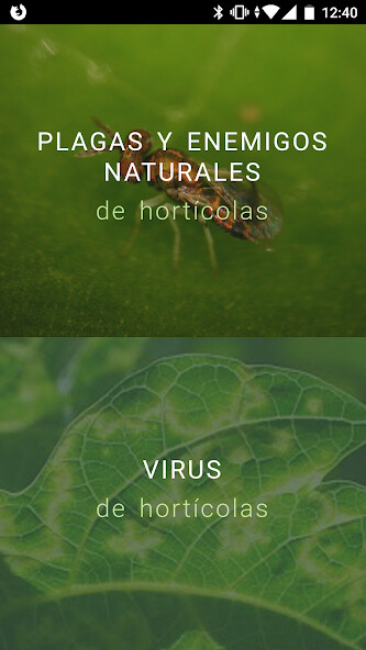 Run android online APK IFAPA Guía Plagas from MyAndroid or emulate IFAPA Guía Plagas using MyAndroid Run android online APK IFAPA Guía Plagas from MyAndroid or emulate IFAPA Guía Plagas using MyAndroid