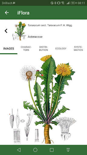 Run android online APK iFlora - Flora of Great Britain and Europe from MyAndroid or emulate iFlora - Flora of Great Britain and Europe using MyAndroid Run android online APK iFlora - Flora of Great Britain and Europe from MyAndroid or emulate iFlora - Flora of Great Britain and Europe using MyAndroid