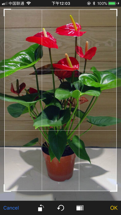 Emulate iPhone app iFlowers - Plant identifier using MyAndroid
