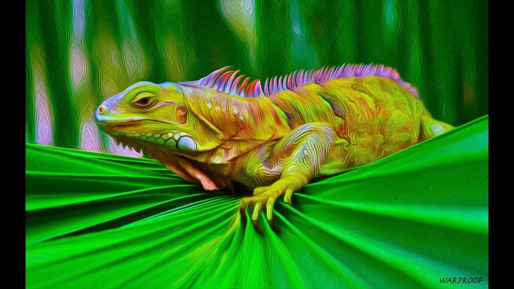 Run android online APK Iguana. Nature Wallpapers from MyAndroid or emulate Iguana. Nature Wallpapers using MyAndroid