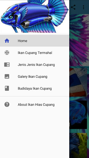 Run android online APK Ikan Hias Cupang from MyAndroid or emulate Ikan Hias Cupang using MyAndroid