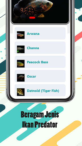 Run android online APK Ikan Predator - Jenis & Perawatan from MyAndroid or emulate Ikan Predator - Jenis & Perawatan using MyAndroid
