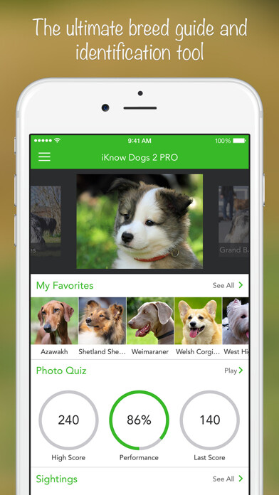 Emulate iPhone app iKnow Dogs 2 PRO using MyAndroid Emulate iPhone app iKnow Dogs 2 PRO using MyAndroid