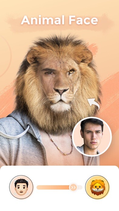 Emulate iPhone app illus - Face Effects Editor using MyAndroid