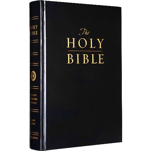 Run android online APK Ilocano Bible with Audio from MyAndroid or emulate Ilocano Bible with Audio using MyAndroid