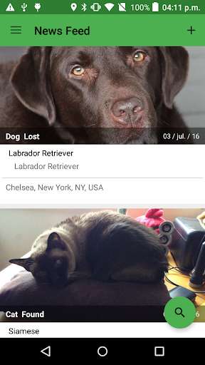 Emulate Android APK I lost my pet Emulate Android APK I lost my pet