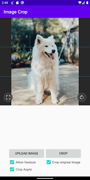Run android online APK Image Crop from MyAndroid or emulate Image Crop using MyAndroid