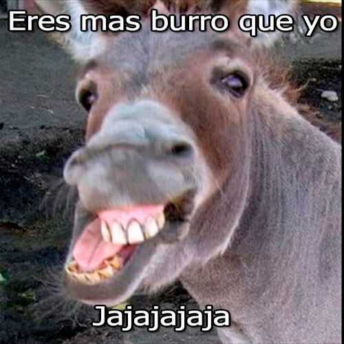Run android online APK Imagenes chistosas con frases from MyAndroid or emulate Imagenes chistosas con frases using MyAndroid