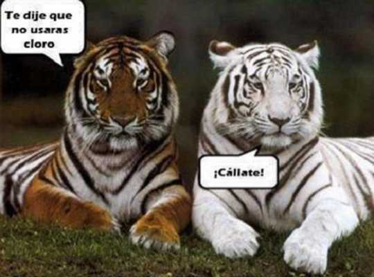 Emulate Android APK Imagenes con memes y chistes Emulate Android APK Imagenes con memes y chistes