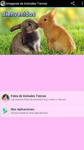 Emulate Android APK Imagenes de Animales Tiernos Emulate Android APK Imagenes de Animales Tiernos