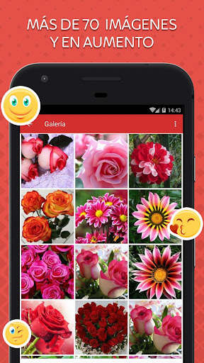Run android online APK Imagenes de flores y rosas from MyAndroid or emulate Imagenes de flores y rosas using MyAndroid