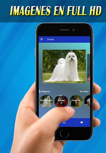 Run android online APK Imagenes de Perros from MyAndroid or emulate Imagenes de Perros using MyAndroid