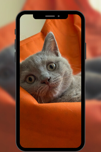 Run android online APK Imagen Para fondo de Pantalla from MyAndroid or emulate Imagen Para fondo de Pantalla using MyAndroid Run android online APK Imagen Para fondo de Pantalla from MyAndroid or emulate Imagen Para fondo de Pantalla using MyAndroid