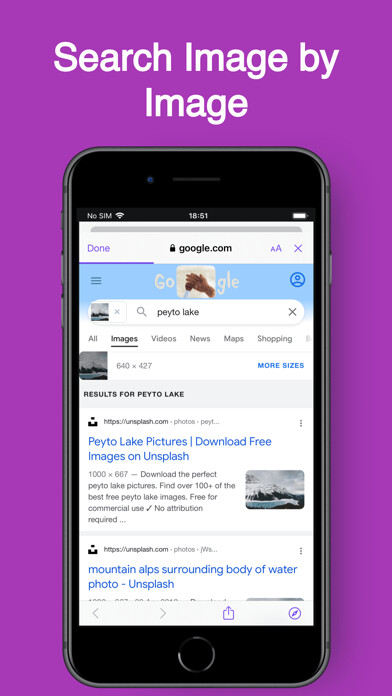 Emulate iPhone app Image Reverse - Image Search using MyAndroid Emulate iPhone app Image Reverse - Image Search using MyAndroid