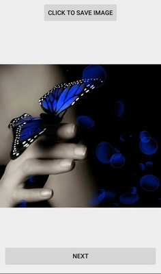 Emulate Android APK images for those who need them