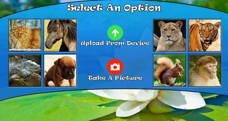 Emulate Android APK Image Shifter
