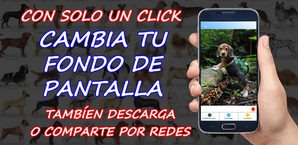 Run android online APK Images of dogs by breeds from MyAndroid or emulate Images of dogs by breeds using MyAndroid Run android online APK Images of dogs by breeds from MyAndroid or emulate Images of dogs by breeds using MyAndroid