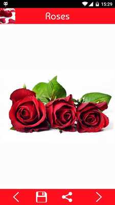 Emulate Android APK Images of love with roses