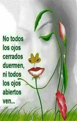 Emulate Android APK Images of Sabias Frases Free