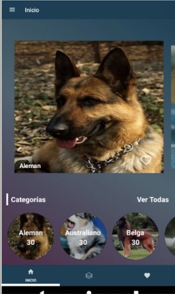 Run android online APK Imágenes de Perros Pastores from MyAndroid or emulate Imágenes de Perros Pastores using MyAndroid Run android online APK Imágenes de Perros Pastores from MyAndroid or emulate Imágenes de Perros Pastores using MyAndroid