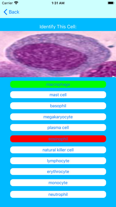 Emulate iPhone app Immune Cells Tutor using MyAndroid Emulate iPhone app Immune Cells Tutor using MyAndroid