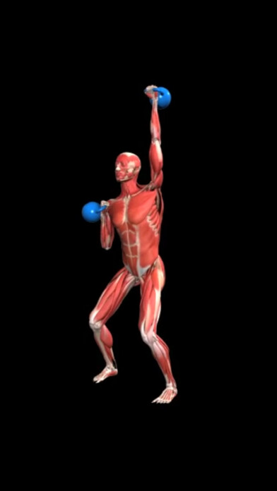 Emulate iPhone app iMuscle 2 - iPhone Edition using MyAndroid