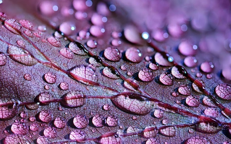 Run android online APK Incredible nature jigsaw puzzl from MyAndroid or emulate Incredible nature jigsaw puzzl using MyAndroid Run android online APK Incredible nature jigsaw puzzl from MyAndroid or emulate Incredible nature jigsaw puzzl using MyAndroid