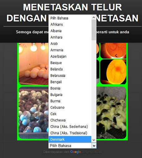 Run android online APK incubation of eggs with hatching machines from MyAndroid or emulate incubation of eggs with hatching machines using MyAndroid