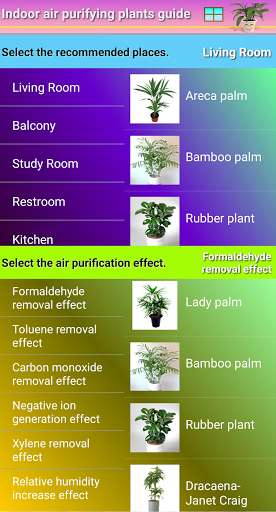 Run android online APK Indoor air purifying plants guide from MyAndroid or emulate Indoor air purifying plants guide using MyAndroid