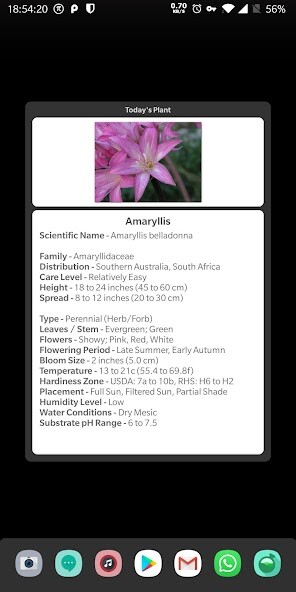 Run android online APK Indoor Plant Widget from MyAndroid or emulate Indoor Plant Widget using MyAndroid